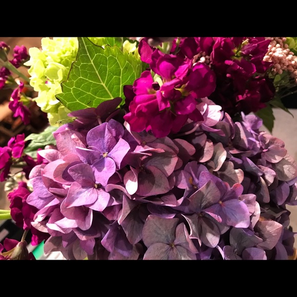 Meet your Posher, Rose - Picture 1 of 1